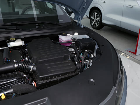 2026�� DM-i 230KM��Խ��