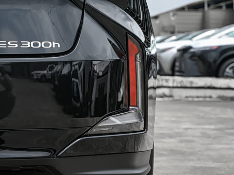 2026�� 300h
