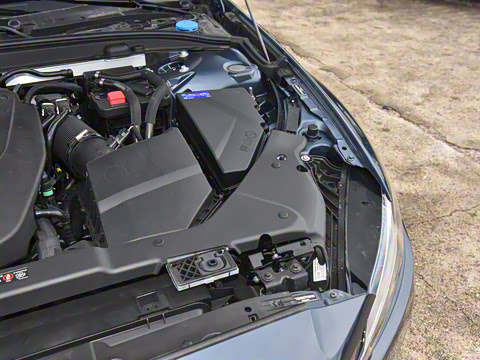 2026�� B4 ��Զ������