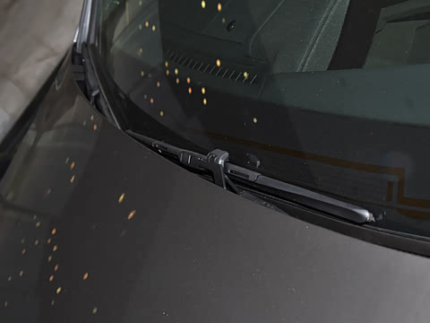 2024�� 500h ������