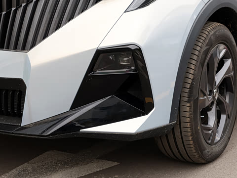 2026�� Ӱ�� 270T ������