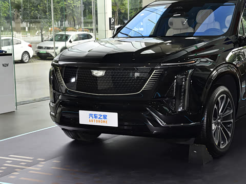 2026�� ����������Pro