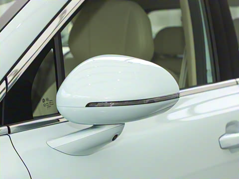 2025�� ���� Max