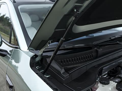 2026�� ���� �����