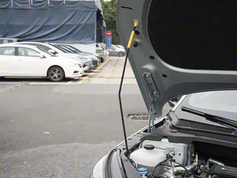 2025�� DM-i 150KM������