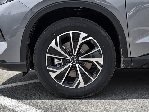 2026�� �ɳ۰� DM-i 220KM������
