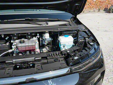 2025�� 650�����״��