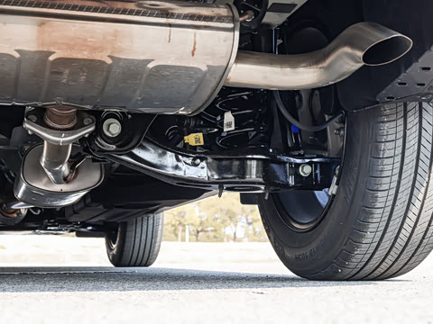 2026�� ����������