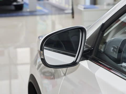 2025�� 1.5L �ֶ���Խ��