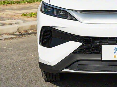 2026�� DM-i 133KM��ȡ��