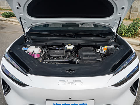 2026�� DM-i 205�캽Pro��