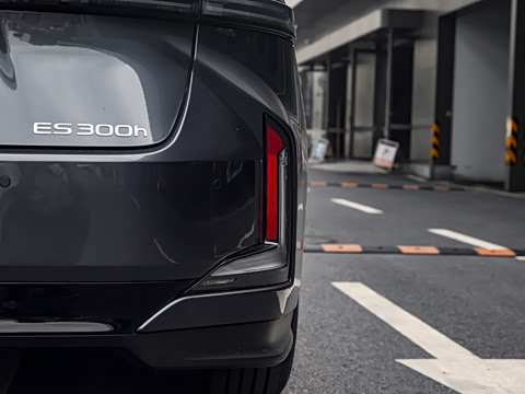 2026�� 300h