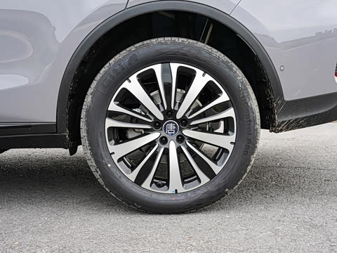 2025�� �Ǽݰ� DM-i 175KM ������