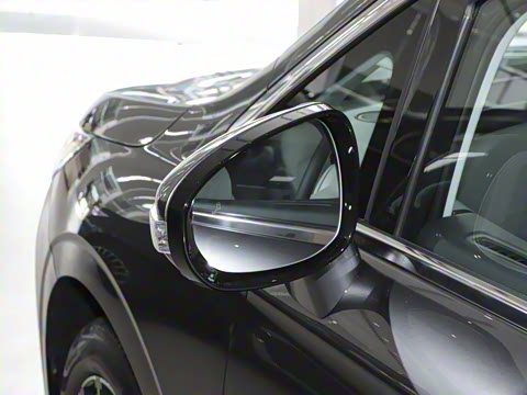 2025�� EV �������������