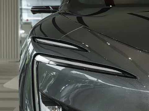 2026�� Max �����