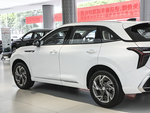 2024�� 2.0T ��Ϊ��