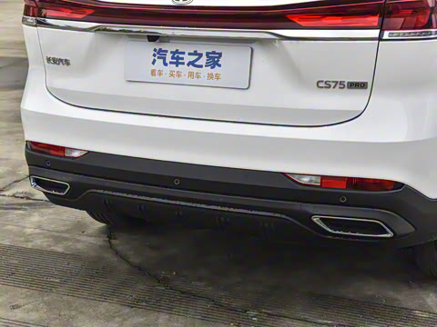 2026�� PRO 1.5T DCT ������ 5��