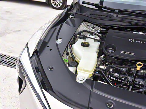 2025�� ������ң���а�