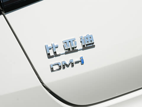 2026�� DM-i 1.5T 135km �����