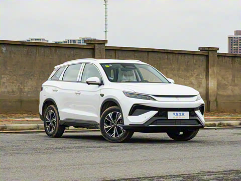 2026�� DM-i 133KM��Խ��