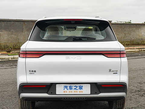 2026�� DM-i 133KM��Խ��