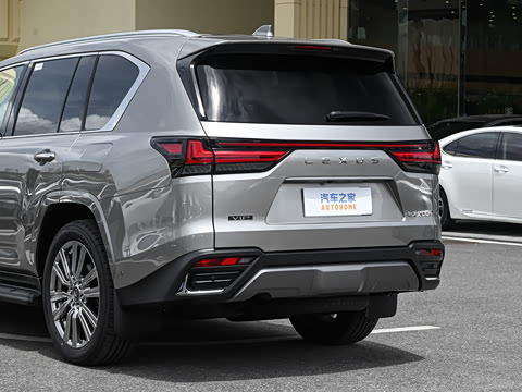 2025�� 700h VIP������