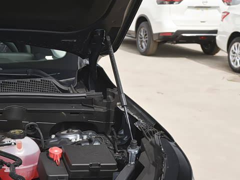 2026�� 25T �����׽��