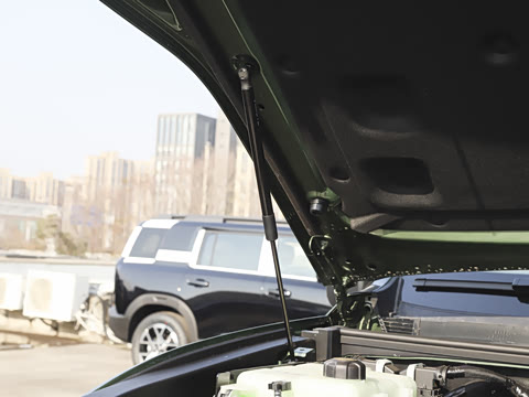 2025�� Ԫ�����а�