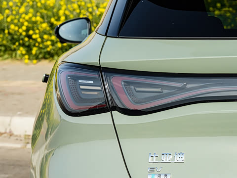 2026�� 620����Max��