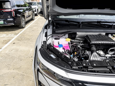 2026�� ���� 120����������