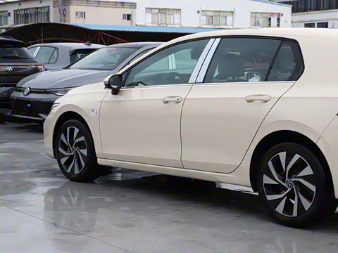 2025�� �Ŀ� 300TSI Pro