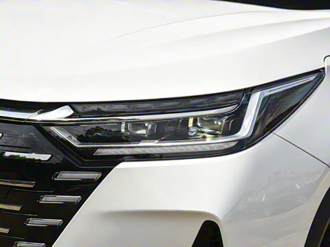 2025�� 290T ��������+