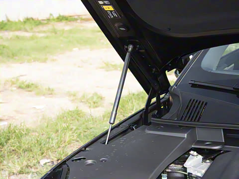 2026�� ������������Plus