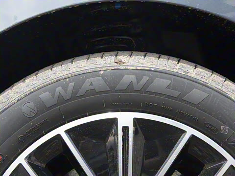 2026�� 520�Ǻ���