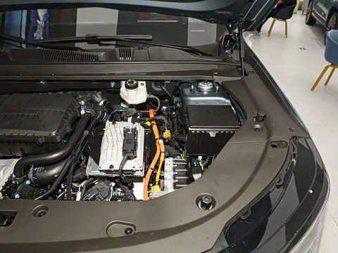 2026�� 220km ������ 5��