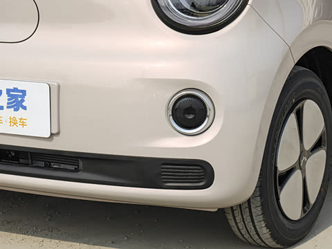 2026�� ����� 205km ���׿�