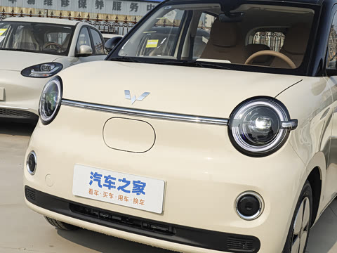 2026�� ����� 205km ���׿�