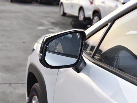 2026�� 2.0L ���ܵ��˫�� ����PLUS��