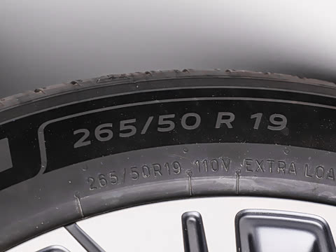 2026�� ���� ������