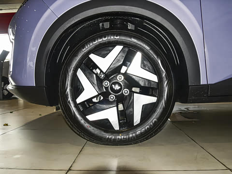 2025�� 325km �콢��