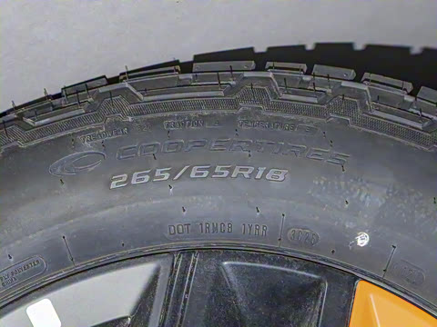 2025�� 2.3T EcoBoost ���ش�Խ�� 5��