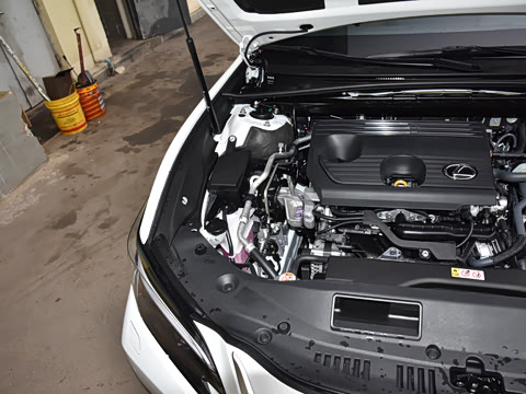 2025�� 200 ������