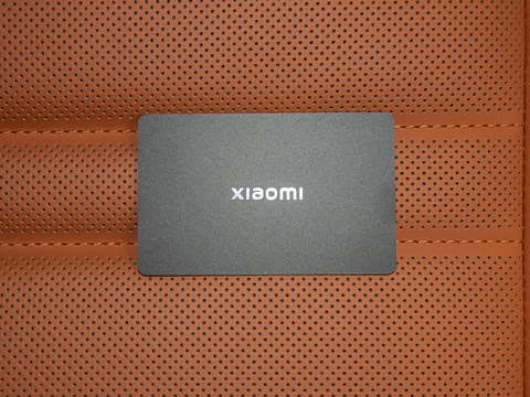 2025�� ������������Pro��