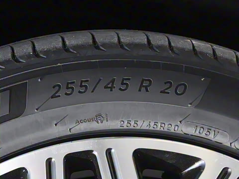 2025�� FREE+ ����Ǭ����