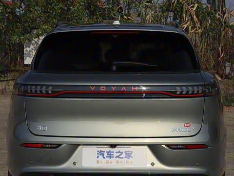 2025�� FREE+ ����Ǭ����