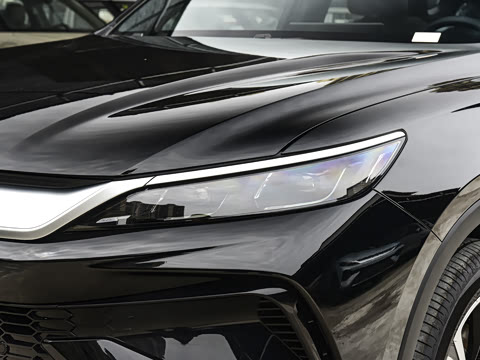 2026�� DM-i 220KM��Խ��