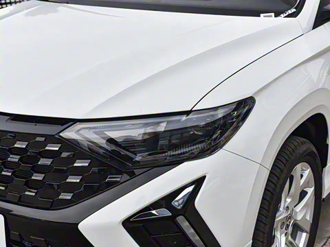 2026�� 280TSI �ֶ�������