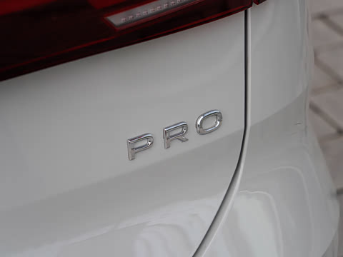 2026�� Pro 300TSI �ǿ��������