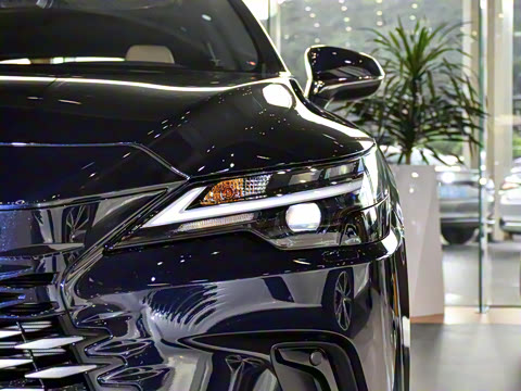 2026�� 300 ����������