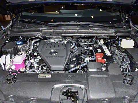 2026�� 300 ����������